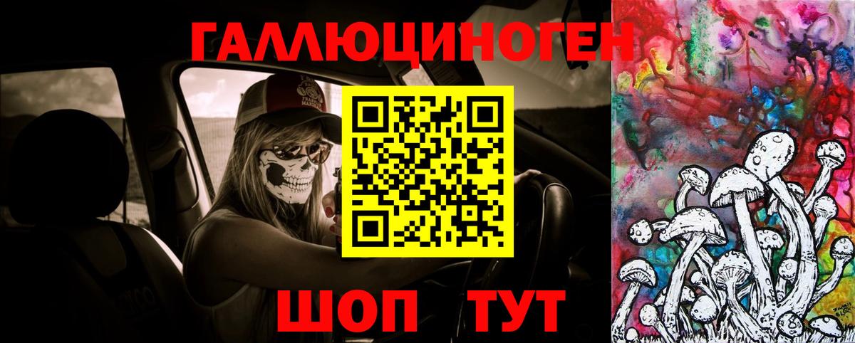 Галлюциногенные грибы Cubensis Советская Гавань