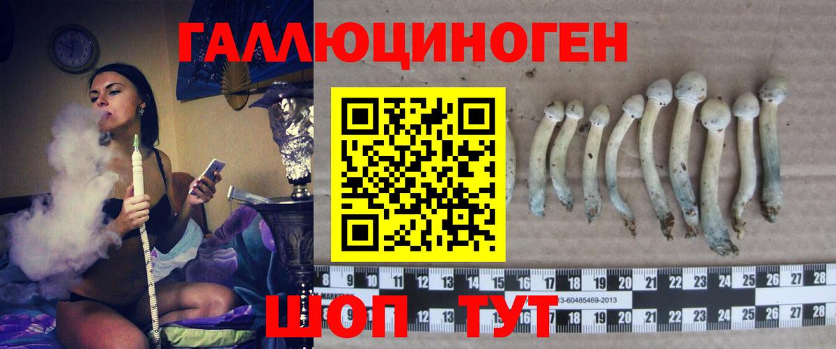 Псилоцибиновые грибы GOLDEN TEACHER  Вход с VPN  Советская Гавань 